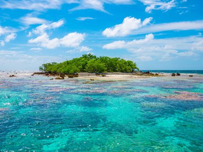 Explore the rich ecosystem of Fakarava, a UNESCO Biosphere Reserve with some of the best diving in the South Pacific.