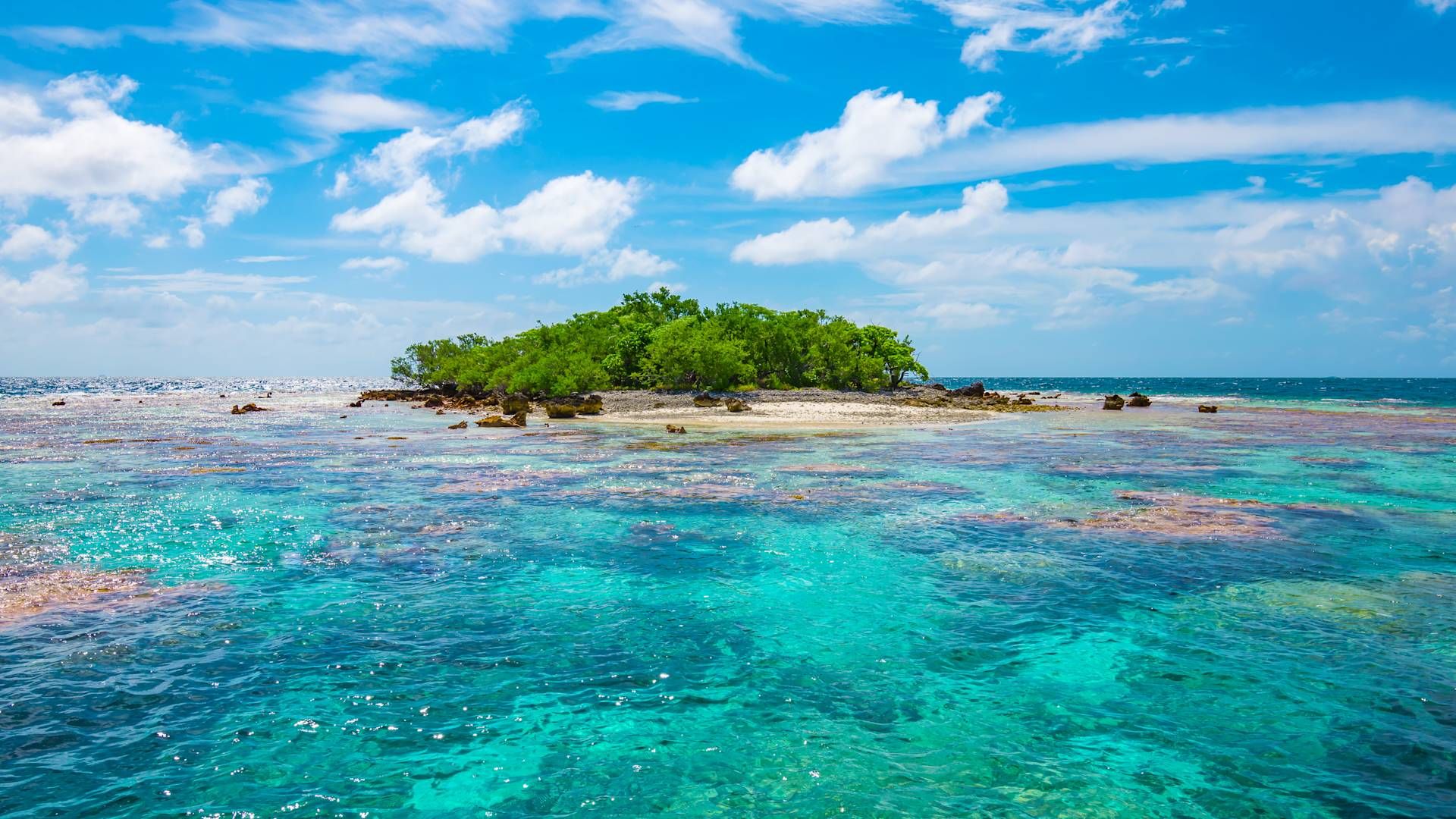 Explore the rich ecosystem of Fakarava, a UNESCO Biosphere Reserve with some of the best diving in the South Pacific.