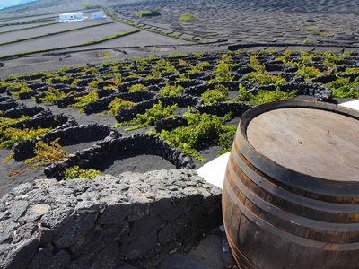 Every Select Sailing is a must-do voyage designed so no opportunity is overlooked. Discover the wine route in Lanzarote. Sip and learn how the Canary Islands’ volcanic soil enriches the flavor of wine.  
