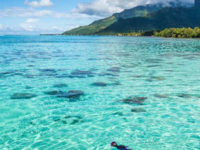 Explore the rich ecosystem of French Polynesia at legendary destinations like the Tuamotu Islands, a diving and snorkeling paradise famous for its calm lagoons and biodiversity.
